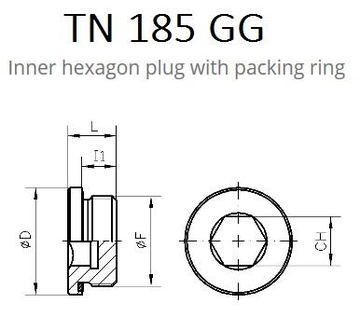 TN185GG Заглушка ввертная в тело с уплотнением