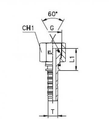 BSP 3/8"-19/0-06 DN10 (C) (O-RING)
