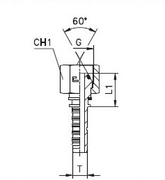 BSP 5/8"-14/0-08 DN12 (С) (O-RING)